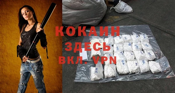 гидра Абаза