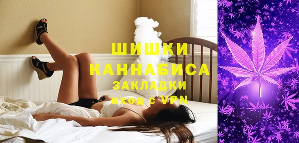 гидра Абаза