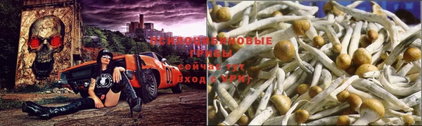 герыч Абинск