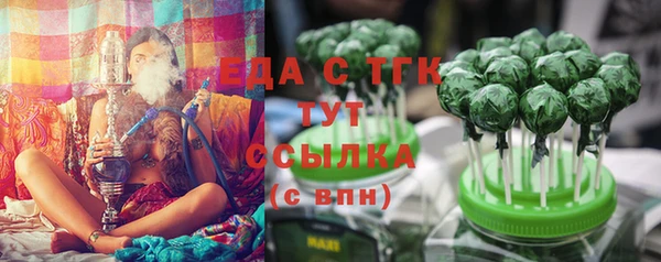 гидра Абаза