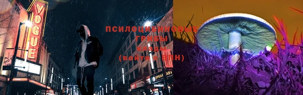 гидра Абаза