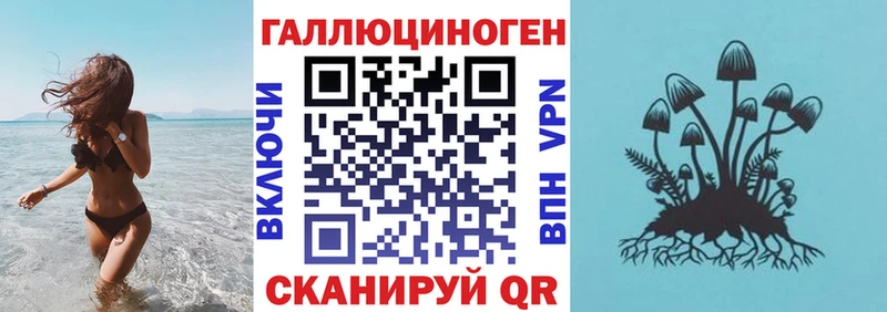 Псилоцибиновые грибы Cubensis  блэк спрут   Карабаново 